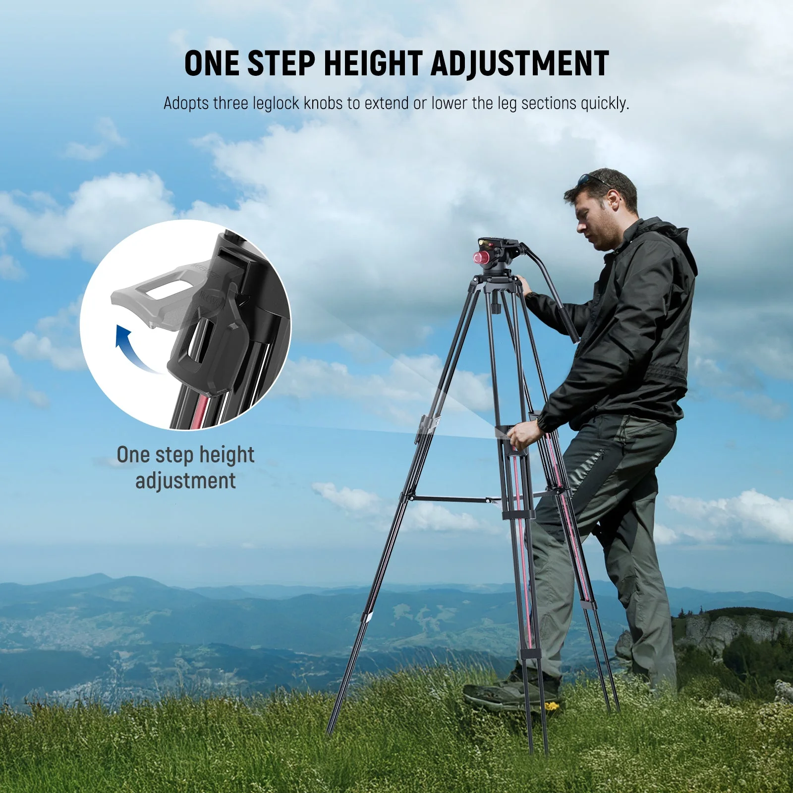 NEEWER LL38 79"/200 cm Video Tripod with Fluid Head - Image 3