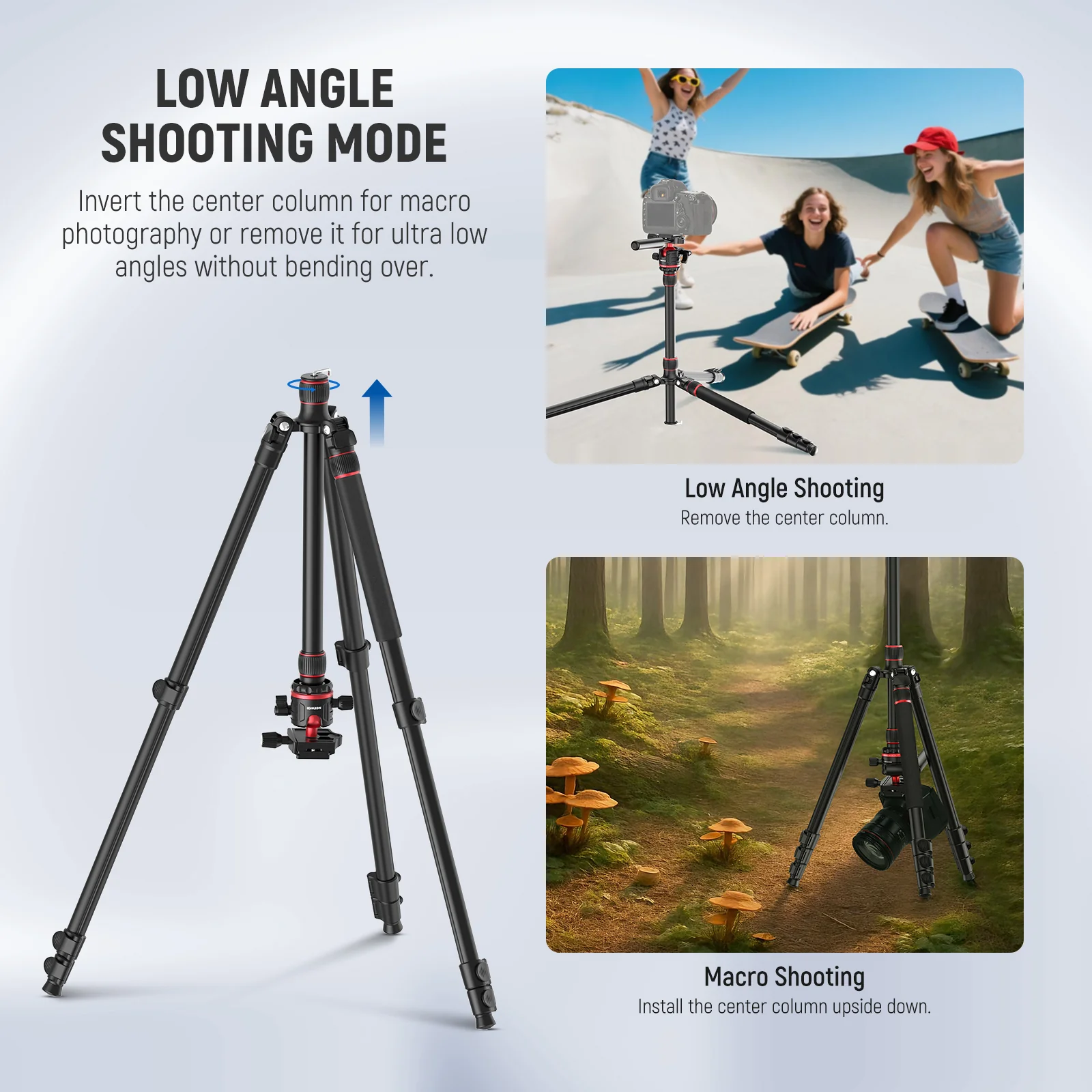 NEEWER TP08 77" Camera Tripod Monopod - Image 5